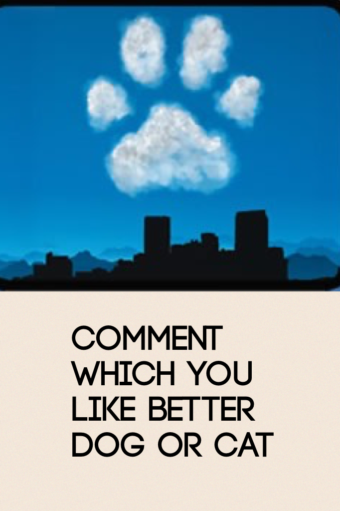 Comment which you like better dog or cat