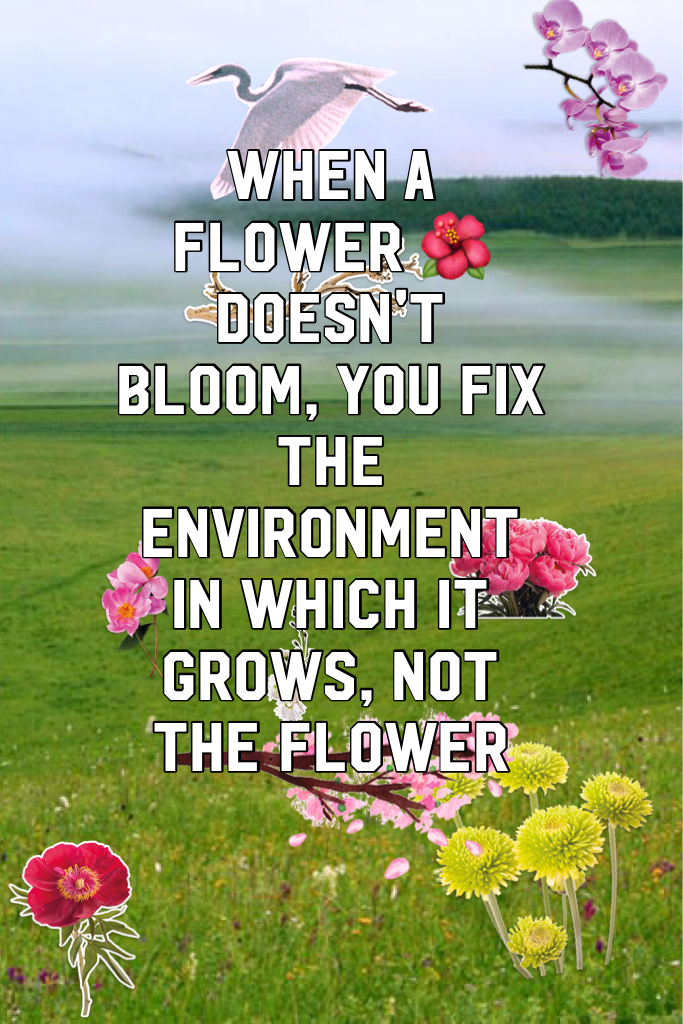 When a flower 🌺 doesn't bloom, you fix the environment in which it grows, not the flower 