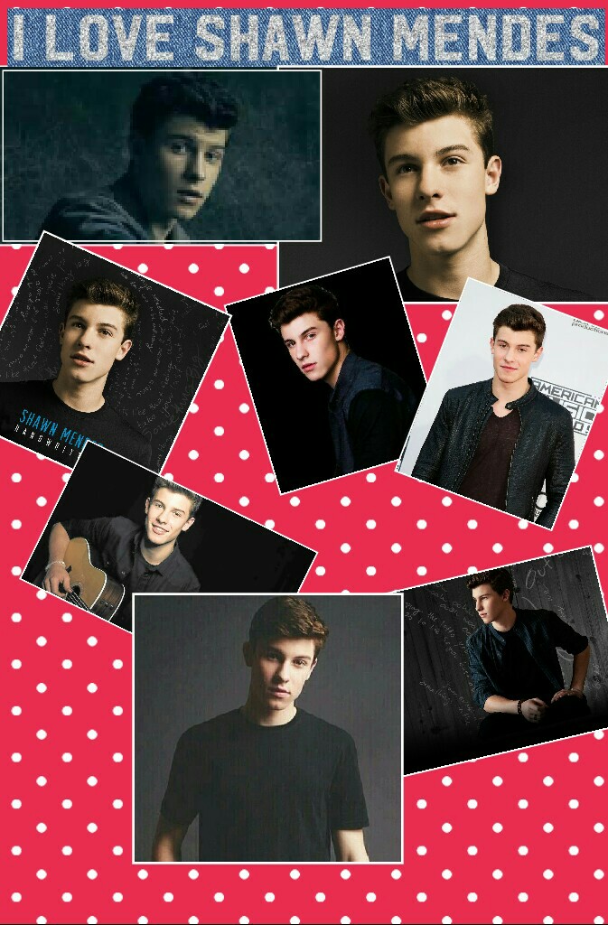 I love Shawn mendes