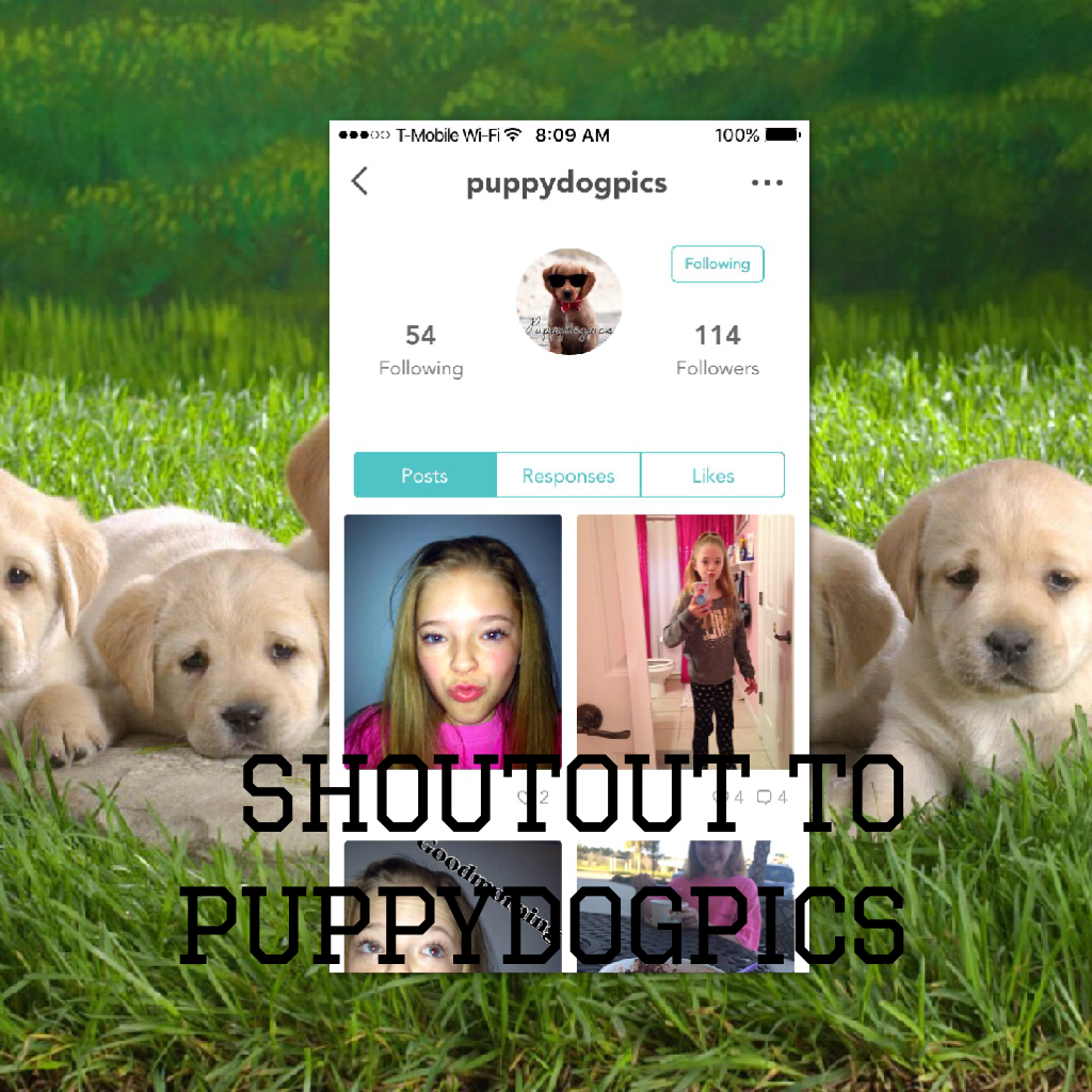        😝Tap😝

Shoutout to puppydogpics! Thank u for all you have done! Go follow her please!!!!!!!!!!!
