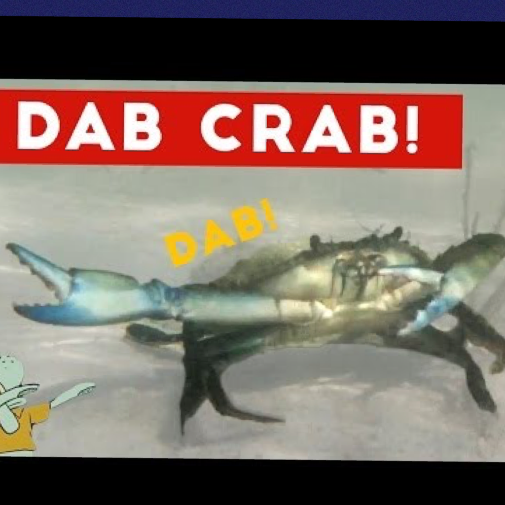 The dab crab