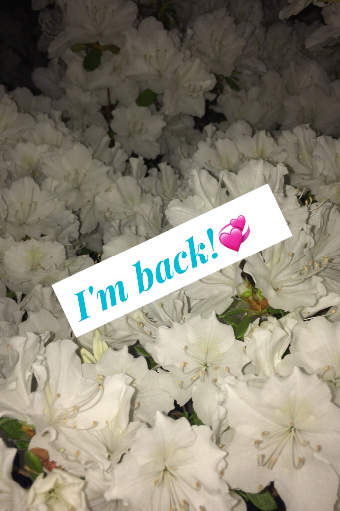 I'm back!💞