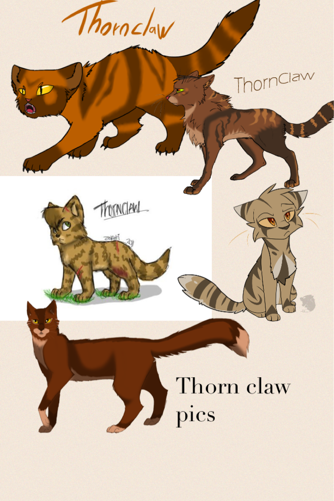 Thorn claw pics