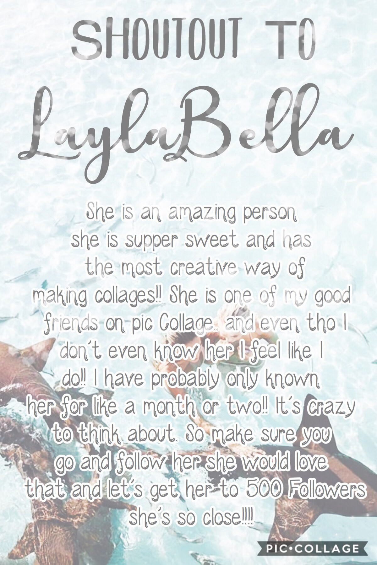 Shoutout To...... 
the amazing LaylaBella
She is an amazing person let’s get her to 500 Followers 💕