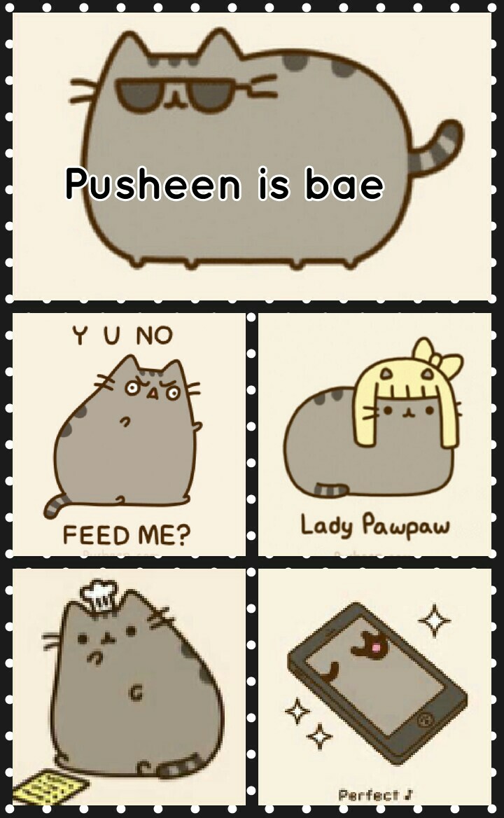 Pusheen is bae