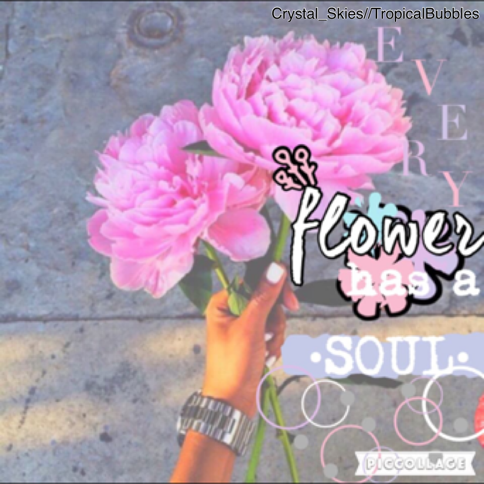 🌺Click Here🌺
Collab with Crystal_Skies!💕 PConly styled collages are really cool💫 Coming up tomorrow: Collab with GrandeAngel!💦