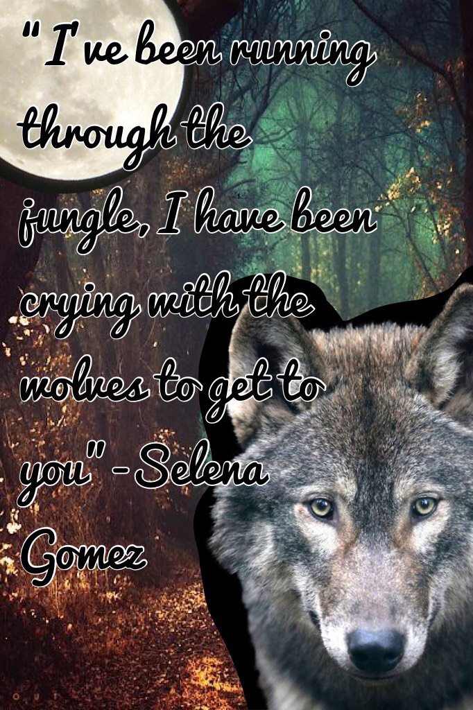 “I’ve been running through the jungle, I have been crying with the wolves to get to you”-Selena Gomez