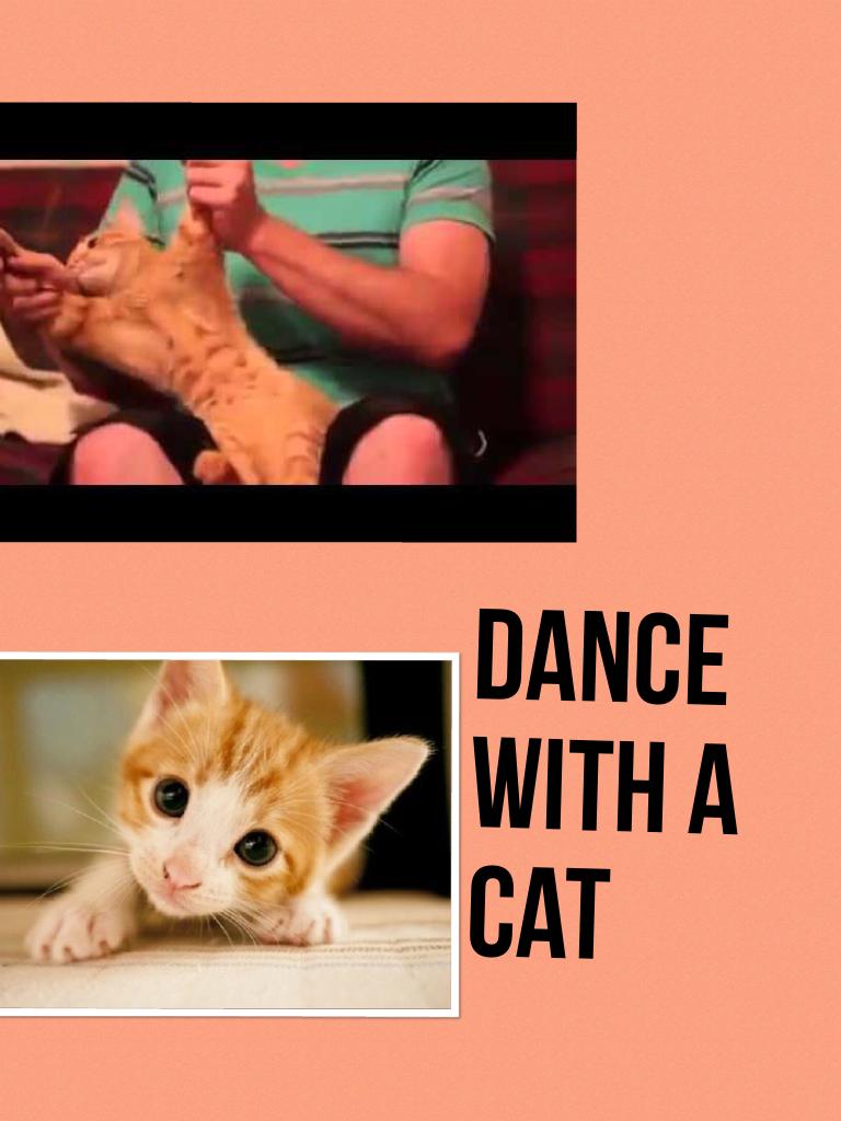 Dance with a cat 