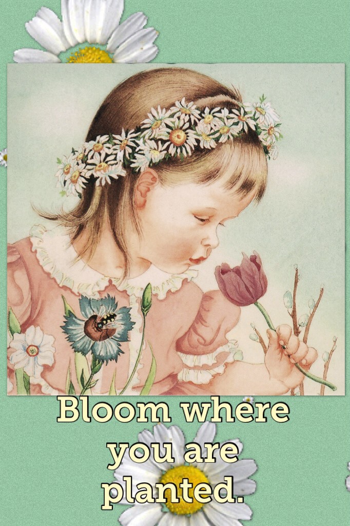 Bloom where you are planted.

