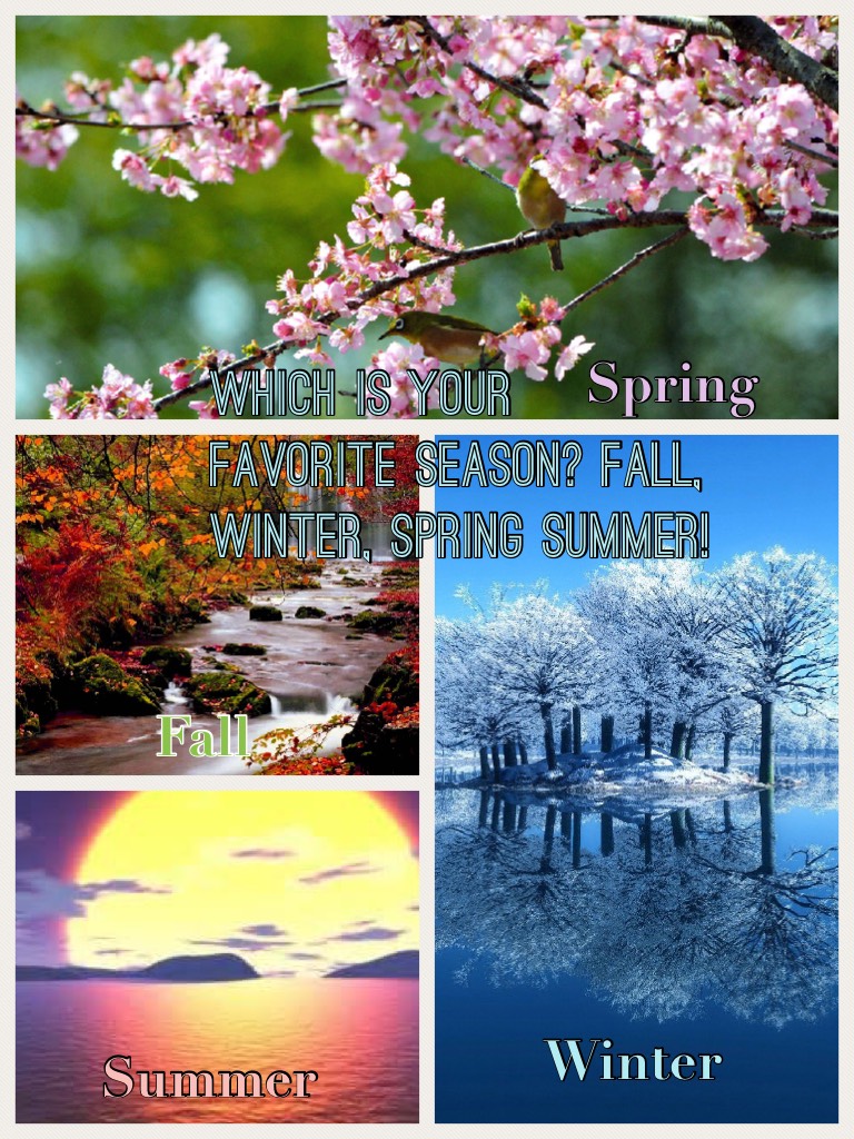 Which is your favorite season? Fall, winter, spring summer!