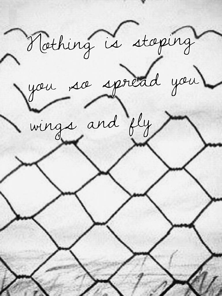 Nothing is stoping you ,so spread you wings and fly