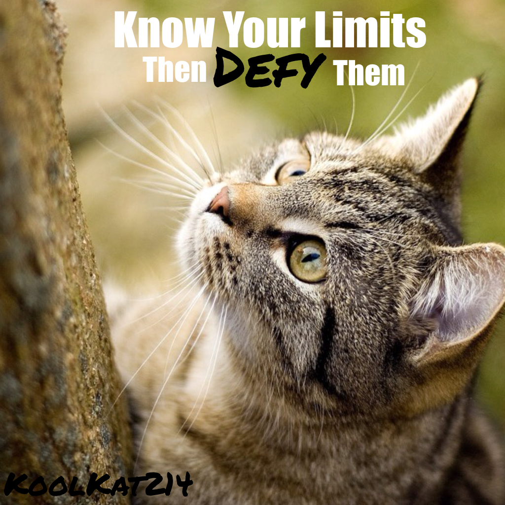 Defy Limits