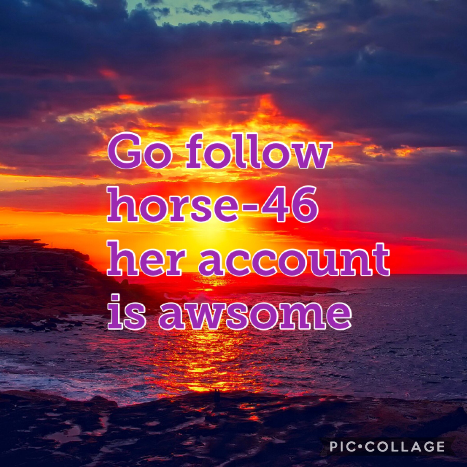 Go follow horse-46!!!