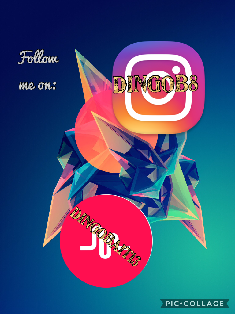 Plz follow me 




P.s my snapchat is DingoB8
