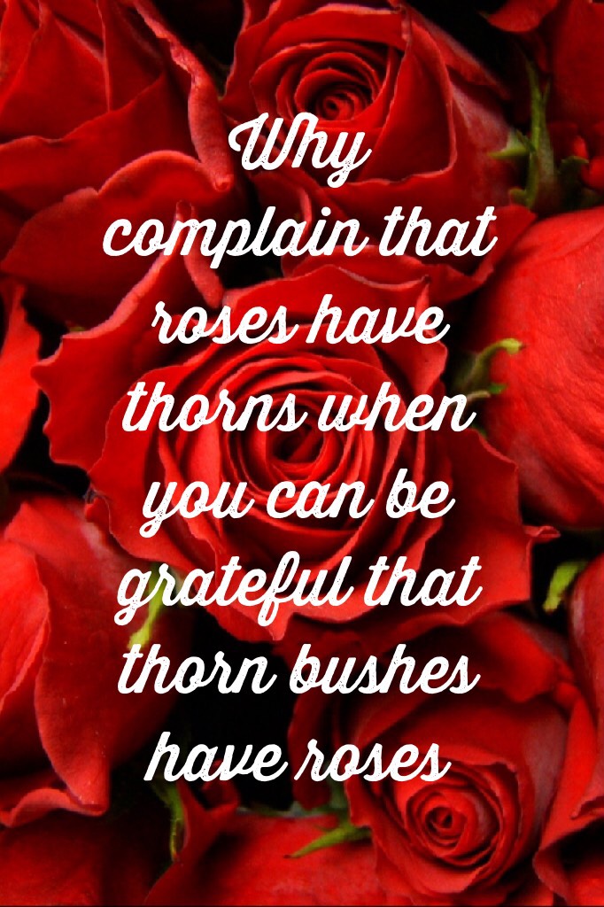 Why complain that roses have thorns when you can be grateful that thorn bushes have roses.🌹🥀😘❤️