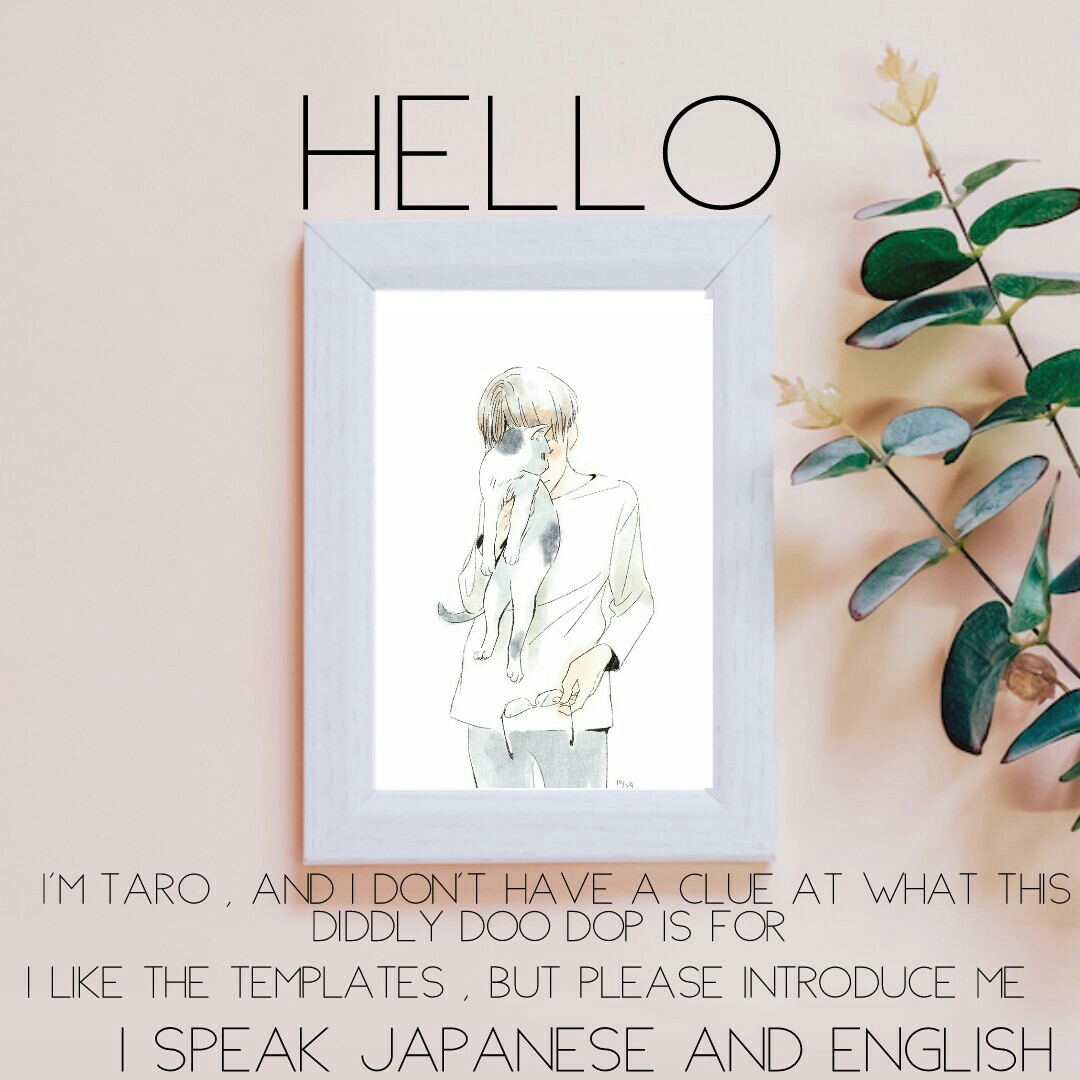 Hi I'm Taro , please help me fit in and introduce me to this app (*˘︶˘*)