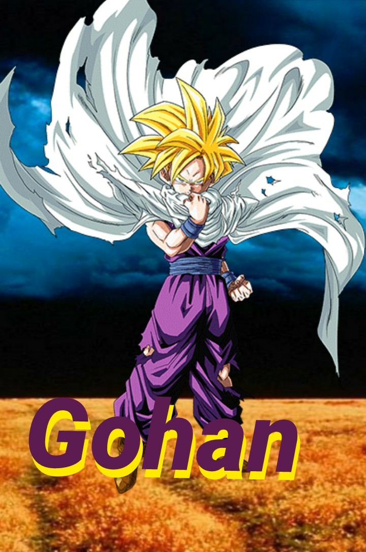 Gohan probably my favorite character