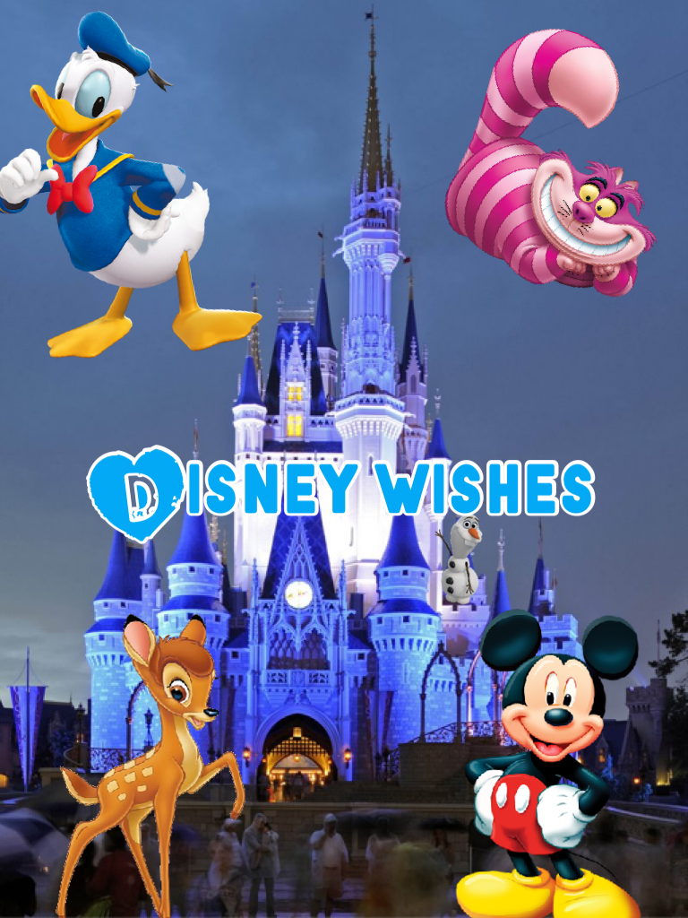 Disney wishes