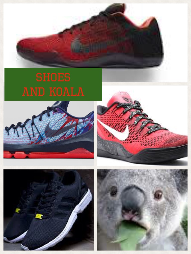 Shoes and Koala