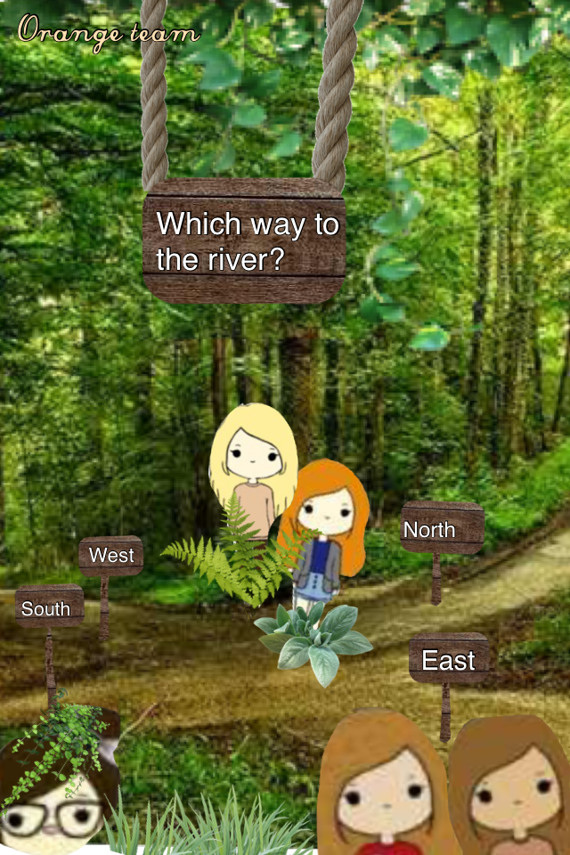 Which way is the river? You must choose a direction (North, South, East, or west) for your team to take. Or, you can split up.  3 out of 5 members have to agree on what you choose and who takes what path. you must decide by Saturday 