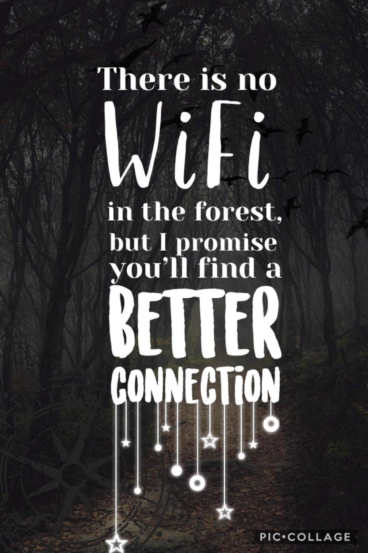 Tap>🌳

Even though there’s WiFi almost everywhere now, you can still find a better connection (*clears throat* PEOPLE!)

Sorry I haven’t posted for a while! 😐

2/4/19