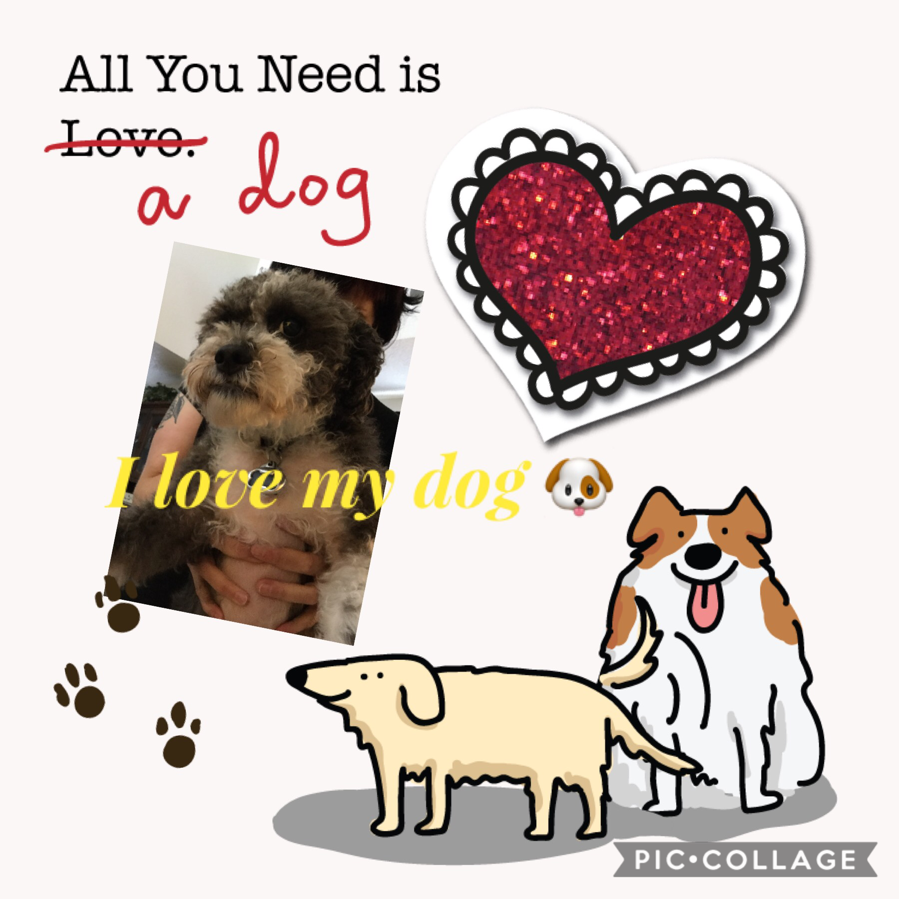 All you need is a dog