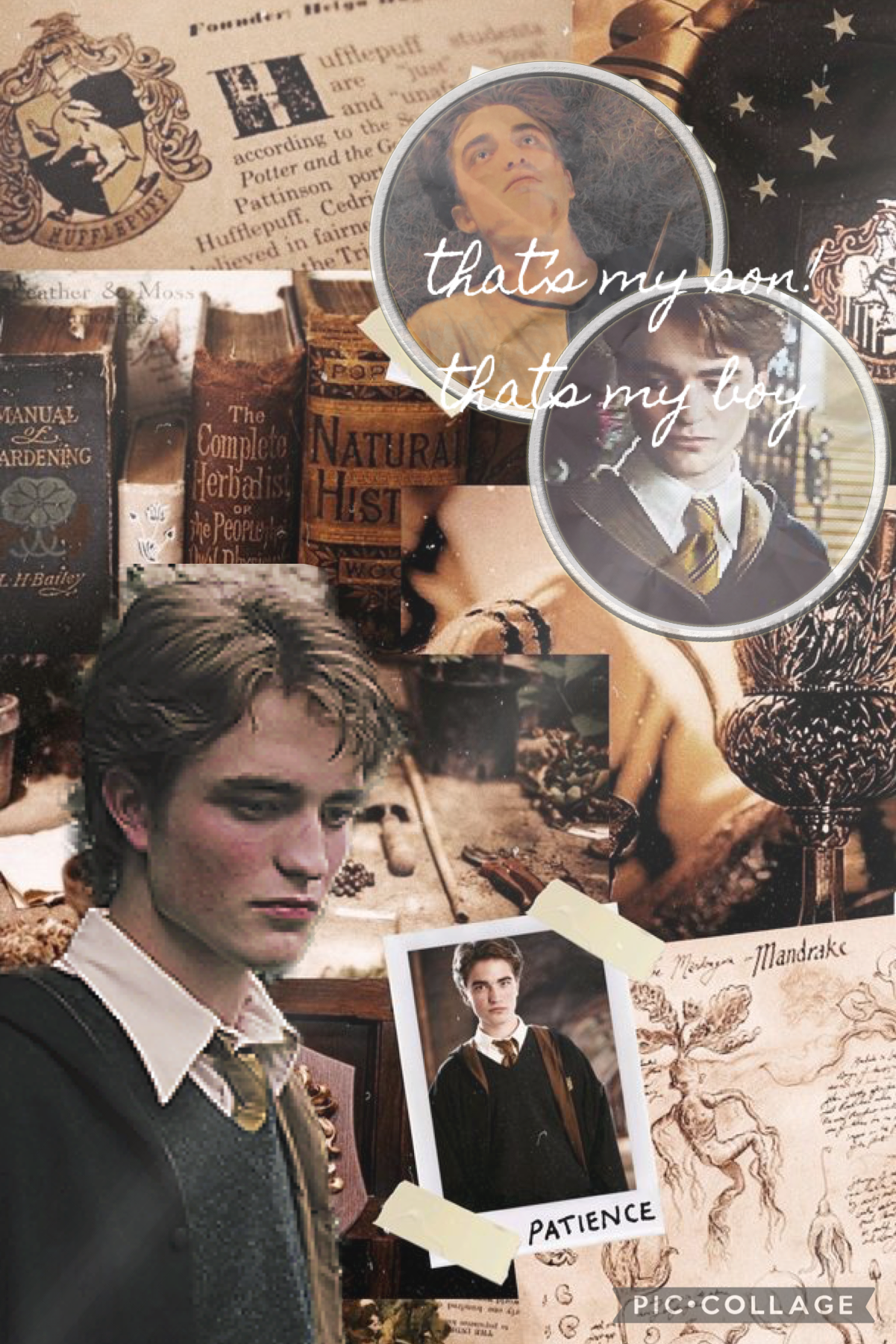 tap

collab with the crazy talented bryson_lee_!! she is so sweet so plz go follow her!! 
cedric diggory hufflepuff theme collage! requested by sage!! 🖤💛
rip cedric