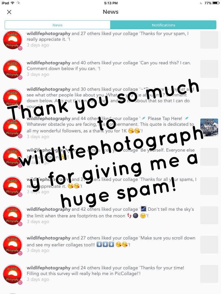 —Tap Please—
Thank you so much to wildlifephotography for giving me a huge spam! Love their photography, go check their account out!