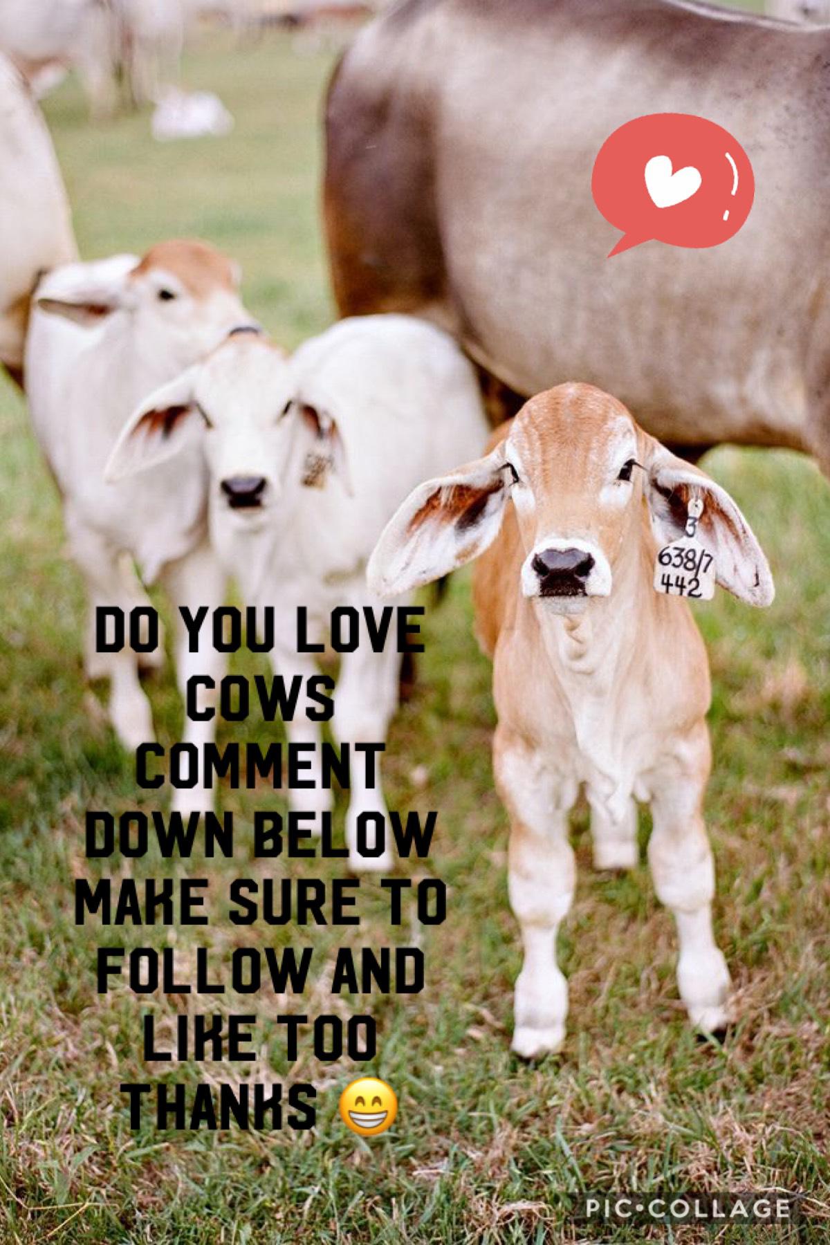 Do you love baby cows 🐄 🐮?#cow life 