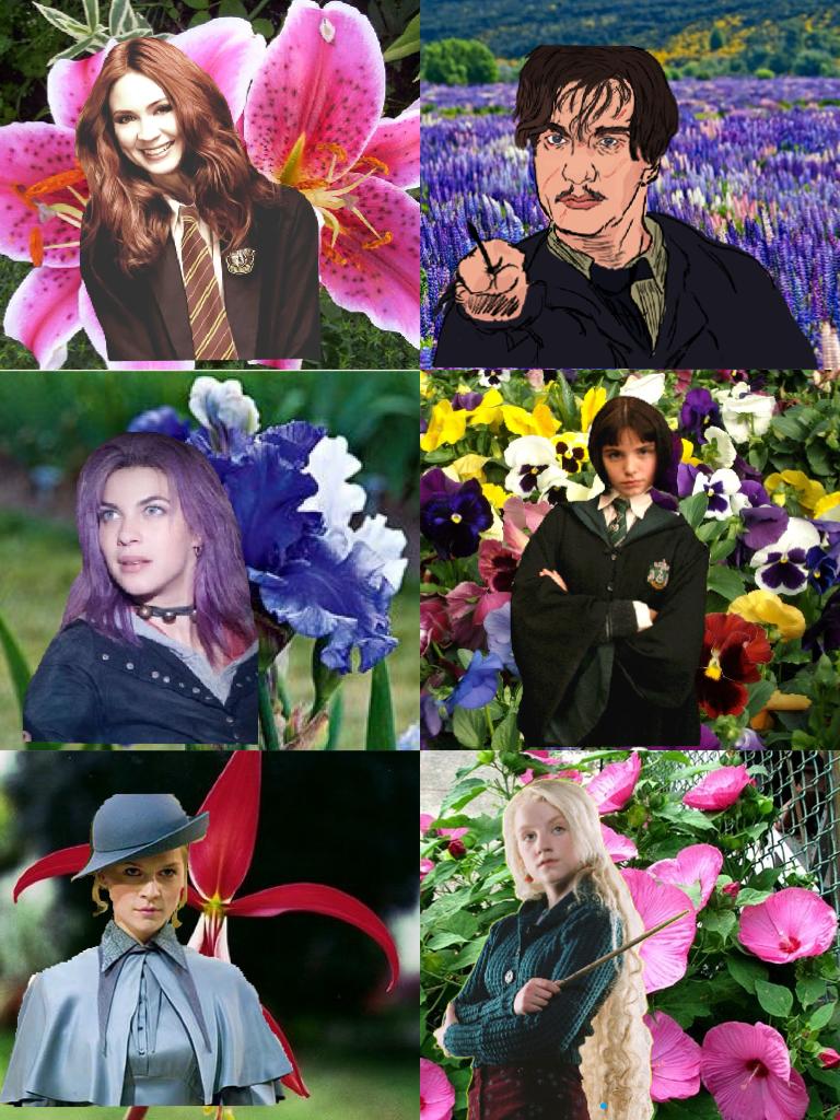 Harry Potter characters with flowers in there name 