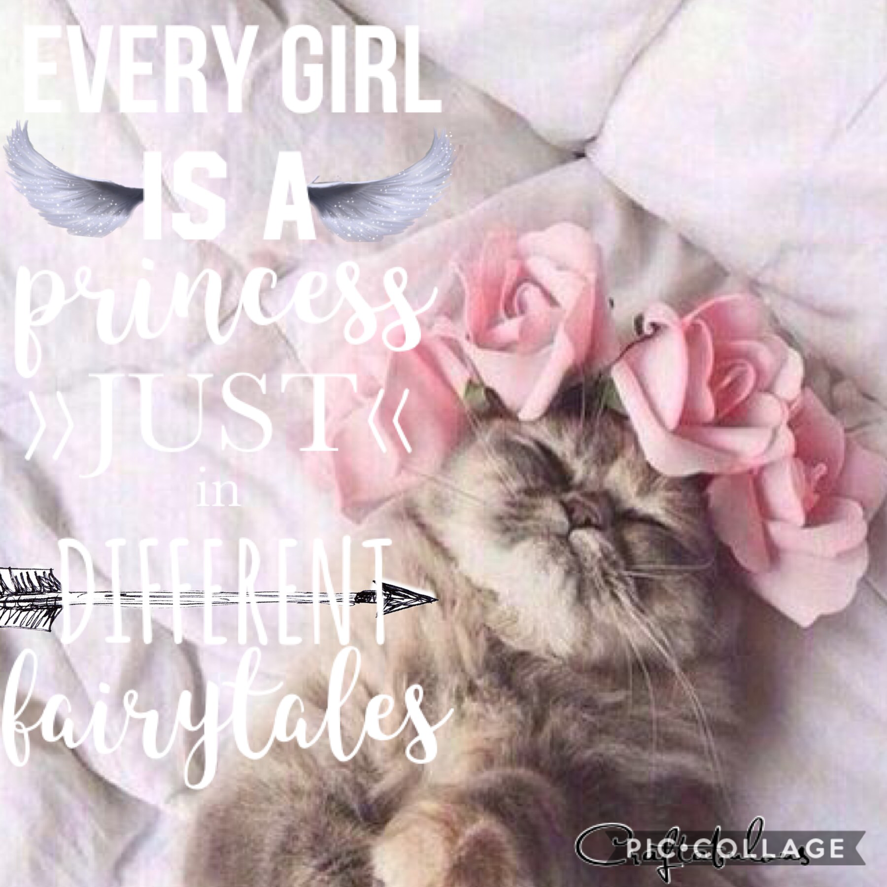Purrincess!!! This looks purrtty trashy if you ask me, but that’s nothing new lol. oh well.