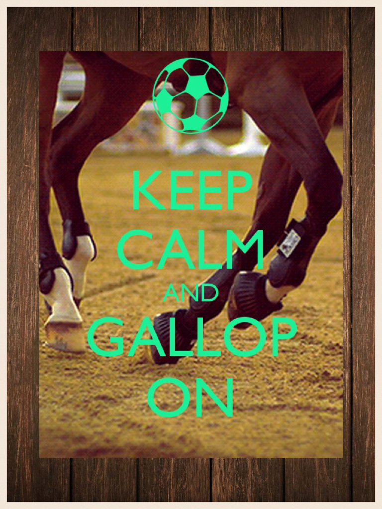 HAPPY GALLOP ON DAY