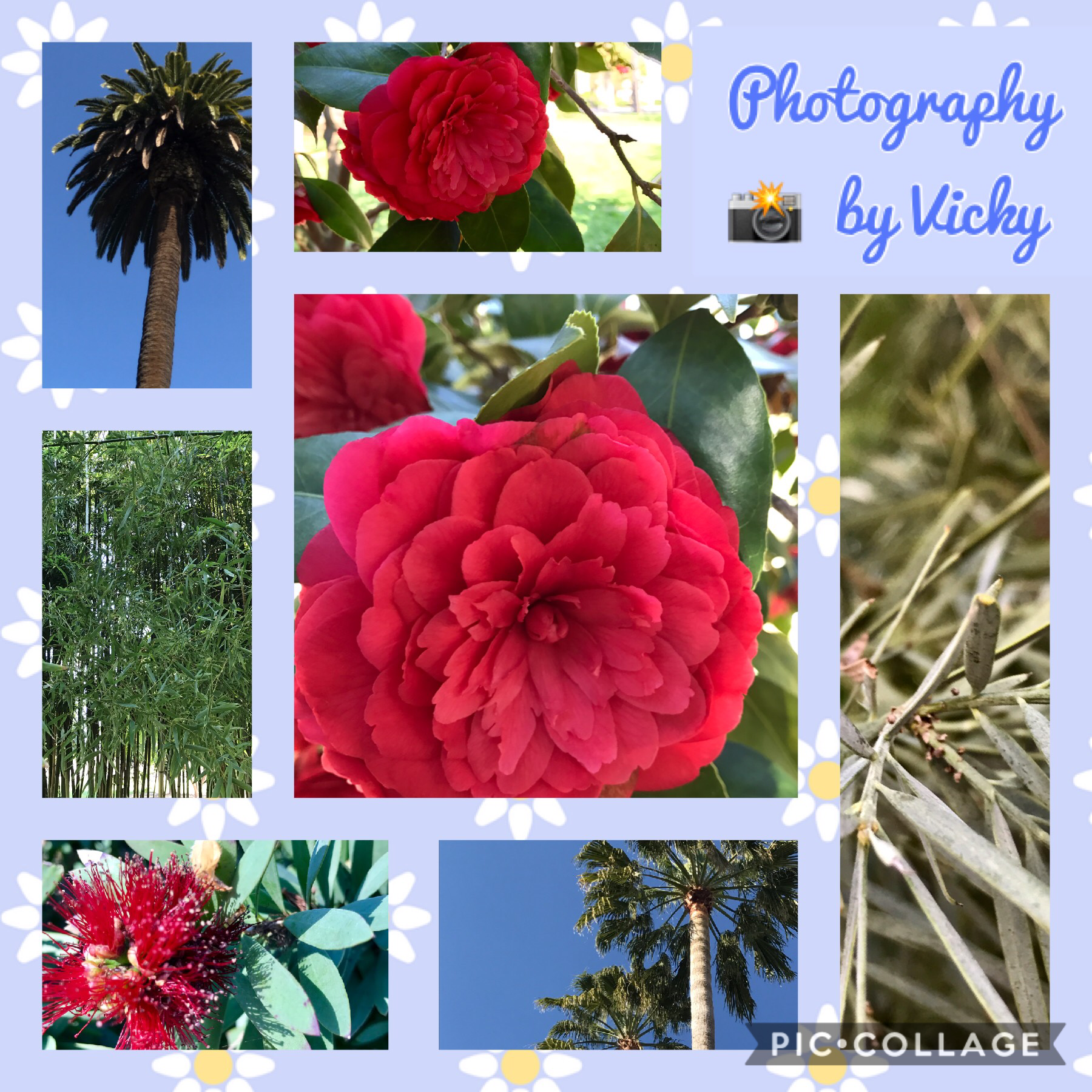 Pics were taken in the Governors Garden. It is sooo pretty there!
