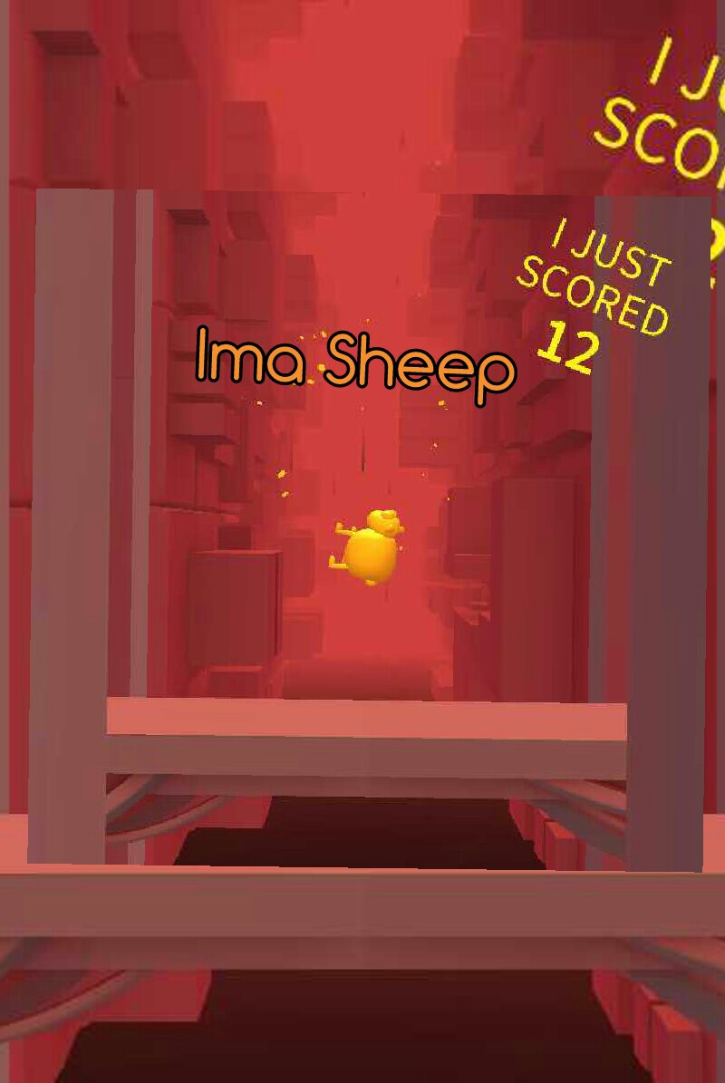 Ima Sheep