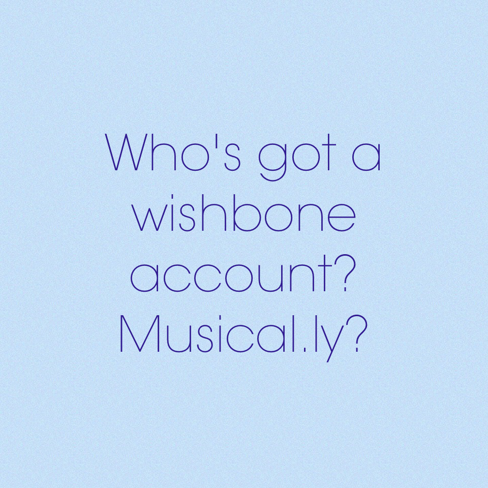 Who's got a wishbone account? Musical.ly?  