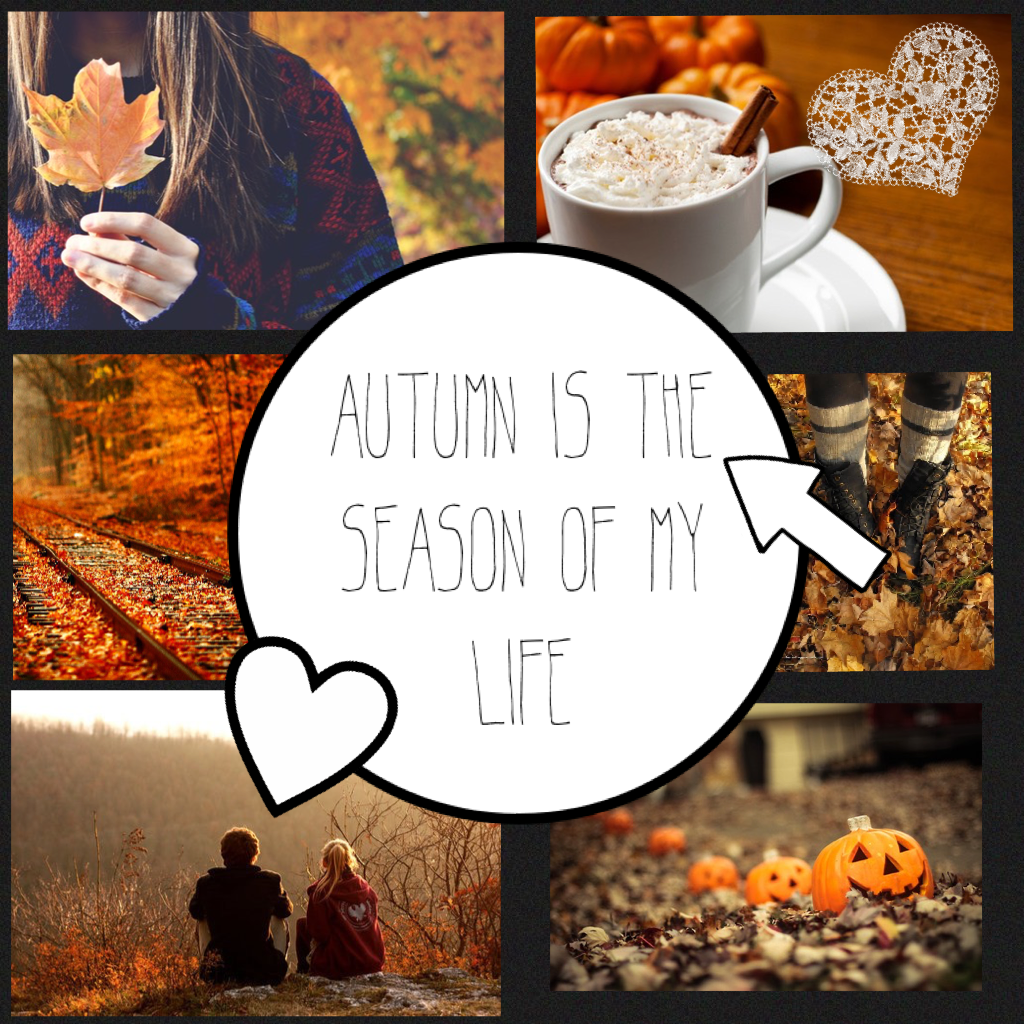 Autumn is the season of my life