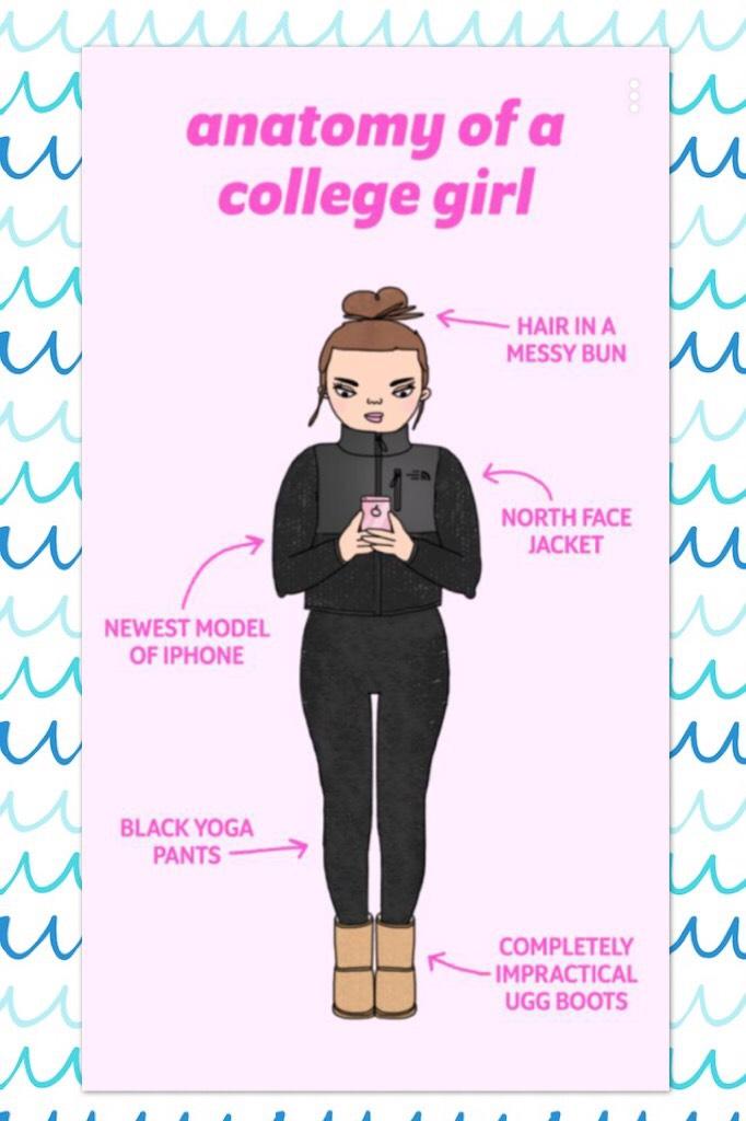 Anatomy of a college girl