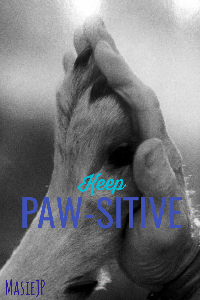 Keep paw-sitive! 