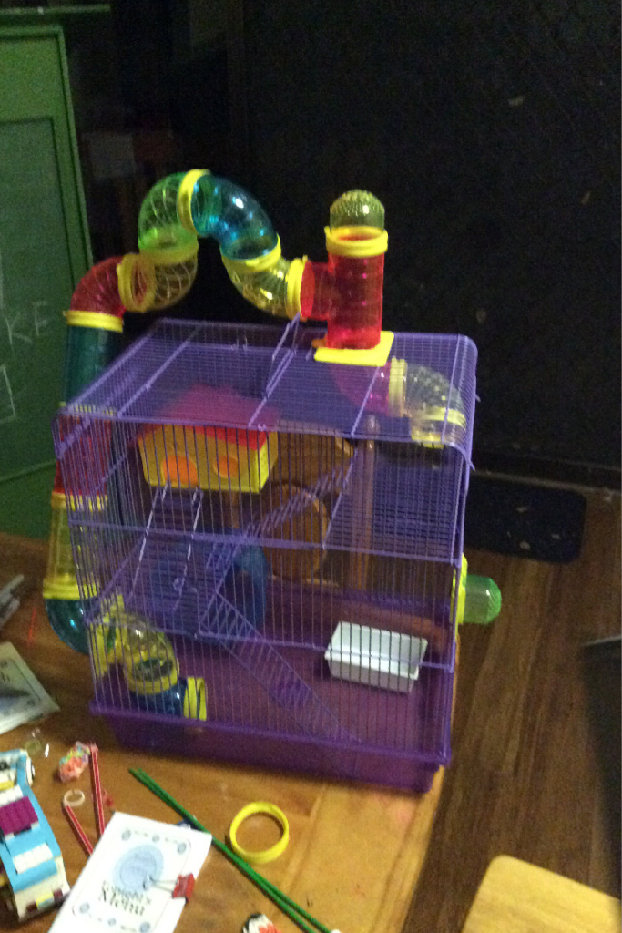 Just built my new mice cage!!! 😄😄😄