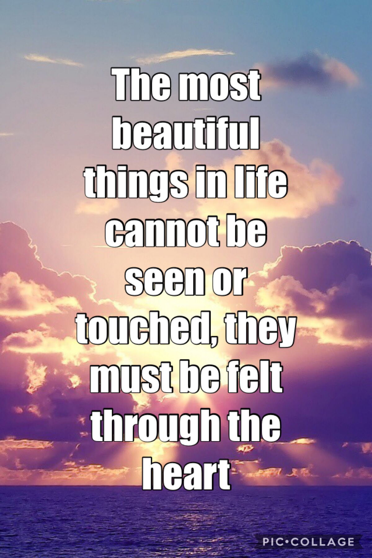 💖Tap for pretty quote💖
The most beautiful things in life cannot be seen or touched, they must be felt through the heart