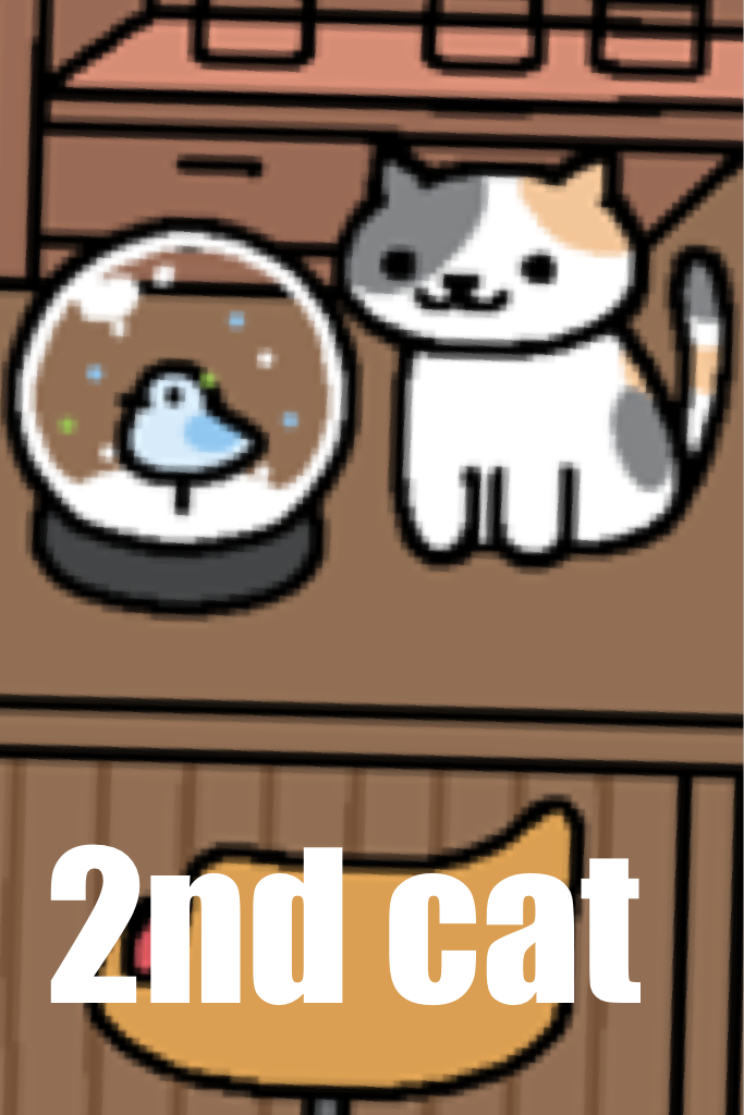 2nd cat using the snow globe in Neko Atsume!