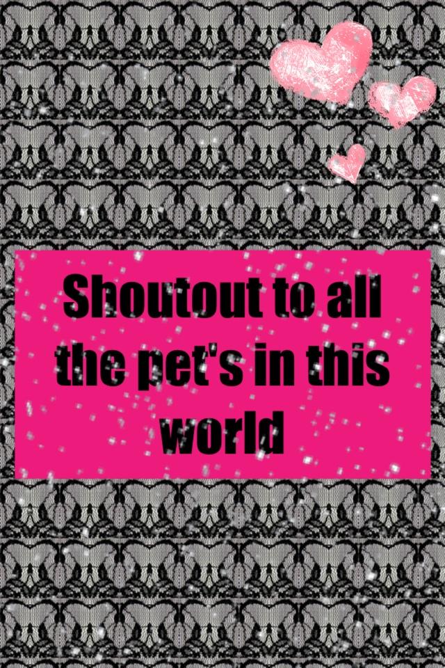 Shoutout to all the pets
