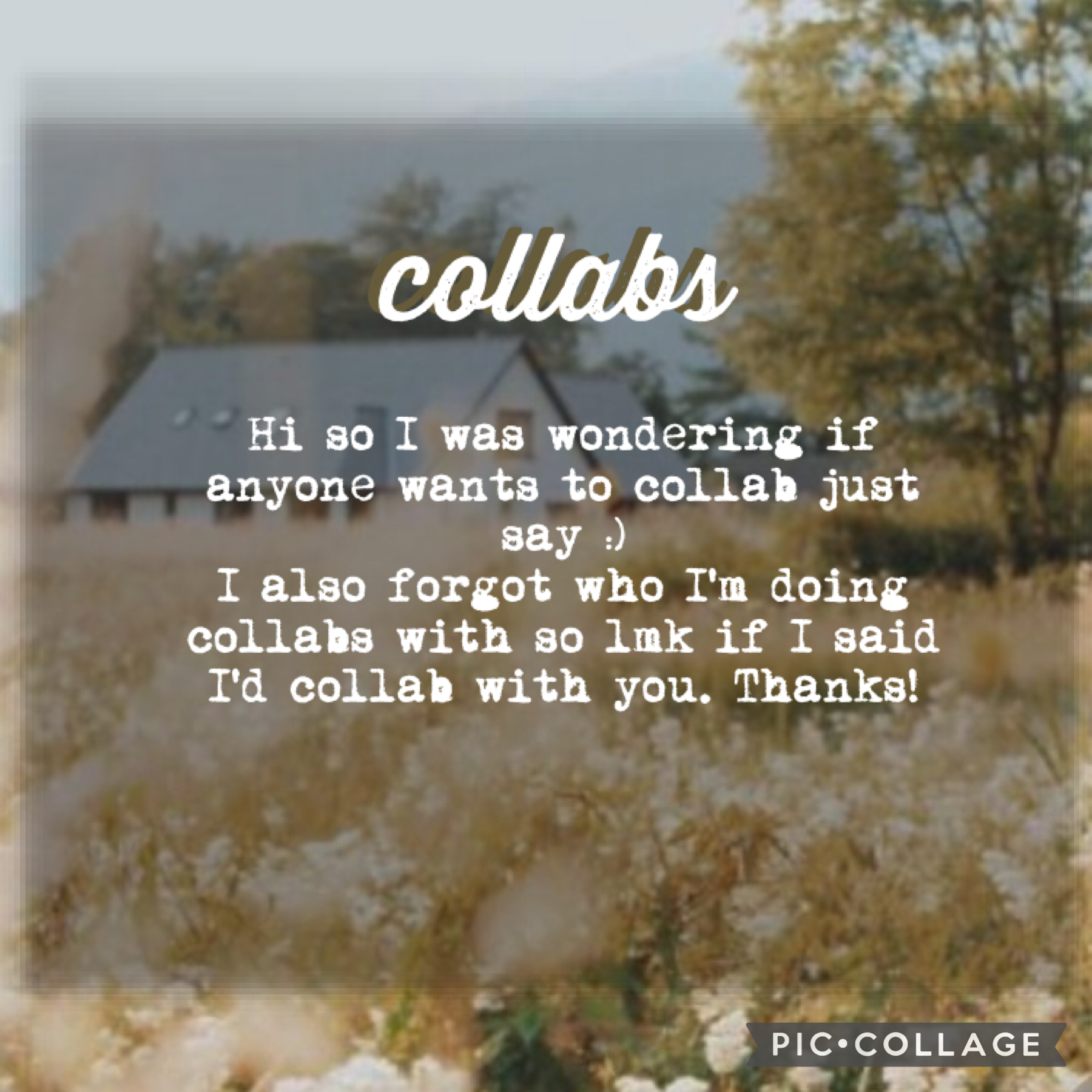🌾collabs!🌾