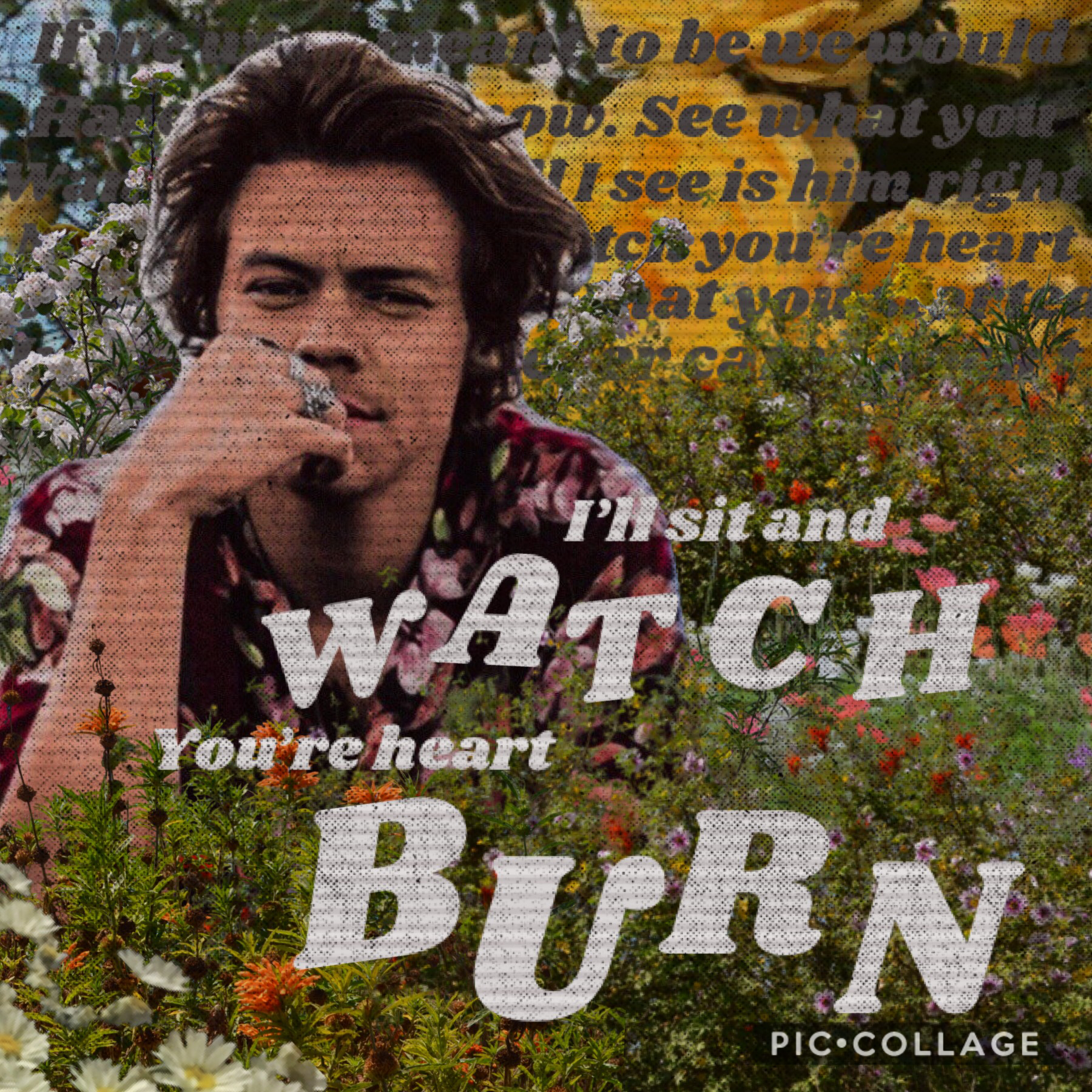 I know my last collage was this same theme with the same pngs but you know, I don’t care. This is a pretty cool collage if I do say so myself. 
Also, Harry in Italy was a blessing so that’s why I made this. 
And yes, I know that I put billie Eilish lyrics