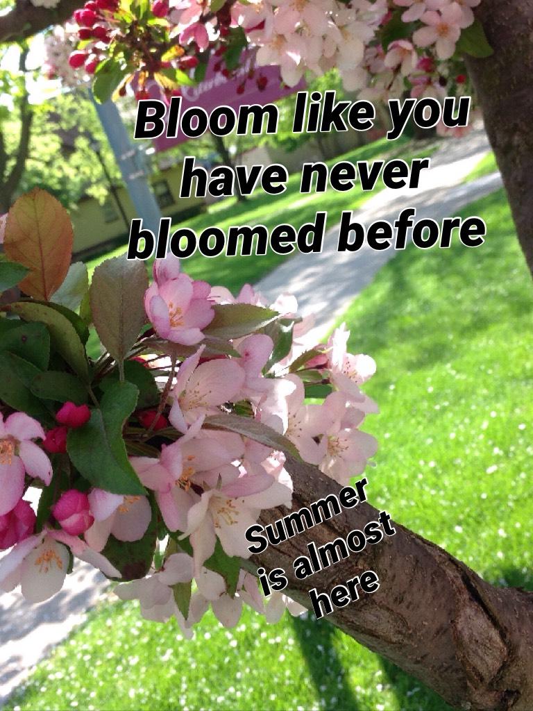 Bloom like you have never bloomed before