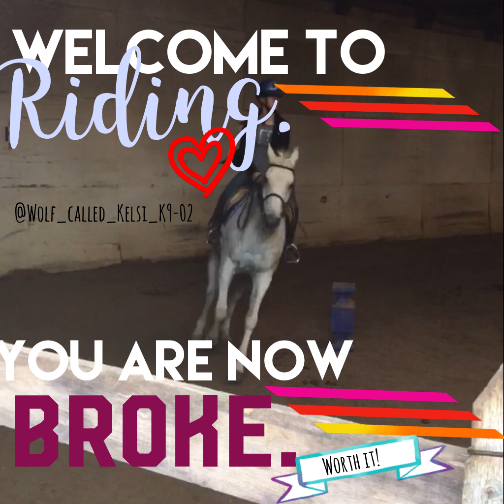 "Welcome to riding - you are now broke."
STORY. OF. MY. LIFE.
It's Handsome!! He says hi. 
Ugh even my parents have told me that my "hobby" *cough* sport *cough* is too expensive .  And I pay for most of my lessons and all of my equipment myself.  