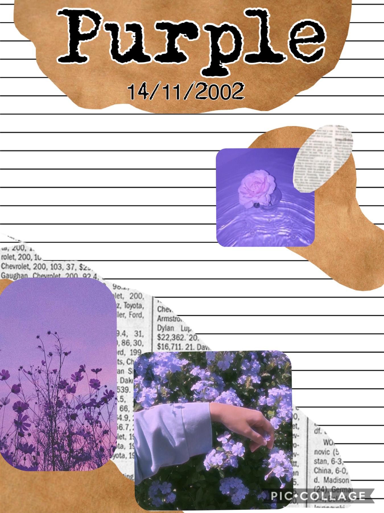 Purple bullet journal 