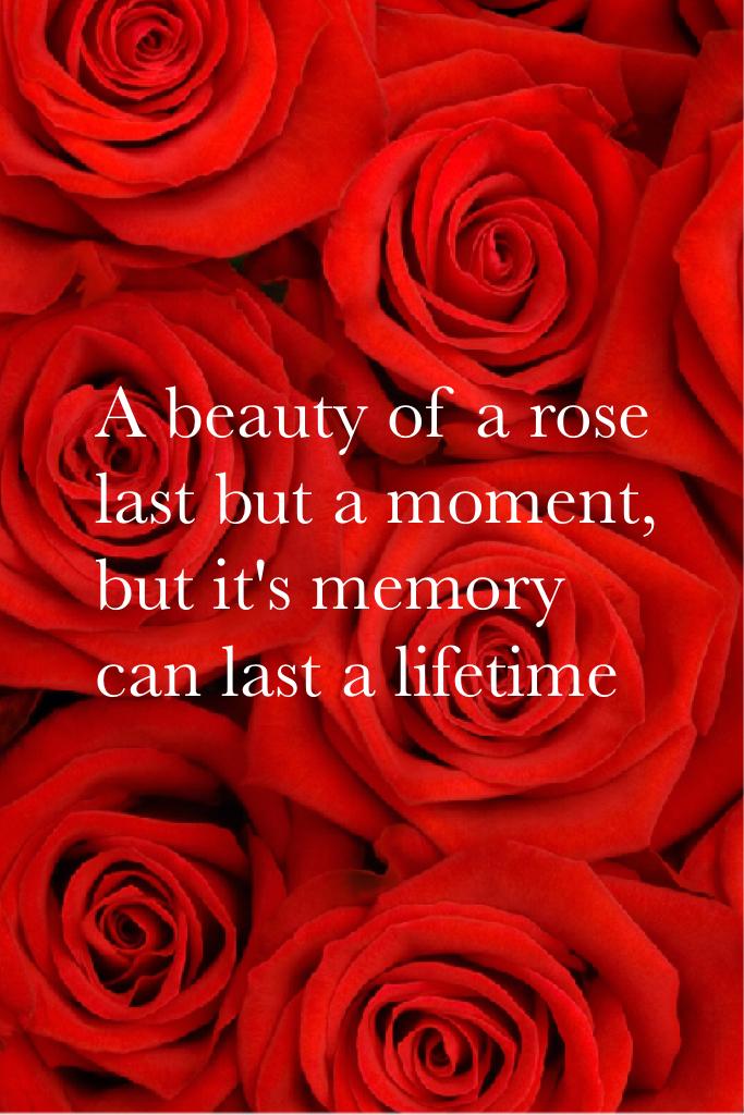 A beauty of a rose last but a moment, but it's memory can last a lifetime 