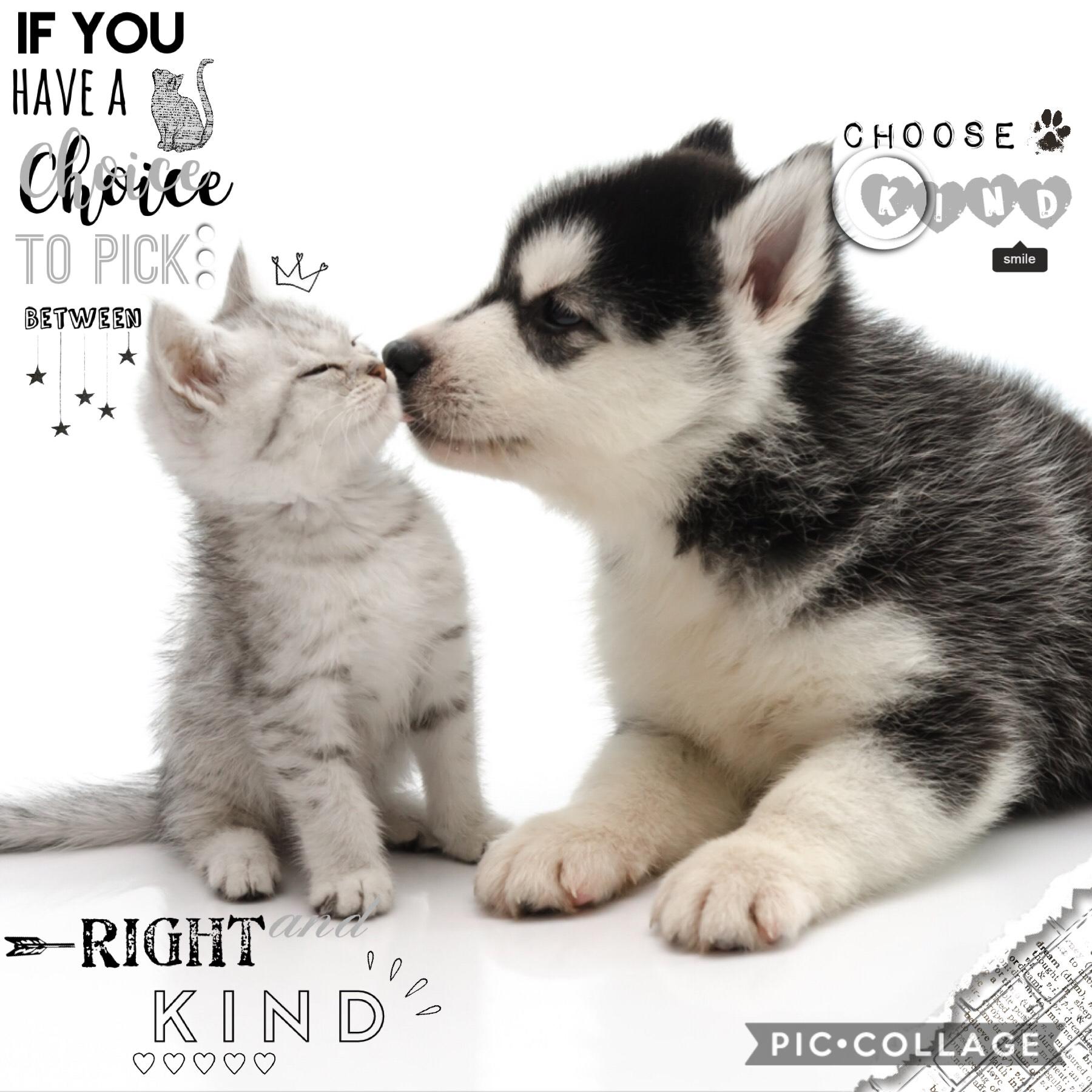 Choose kind 💓