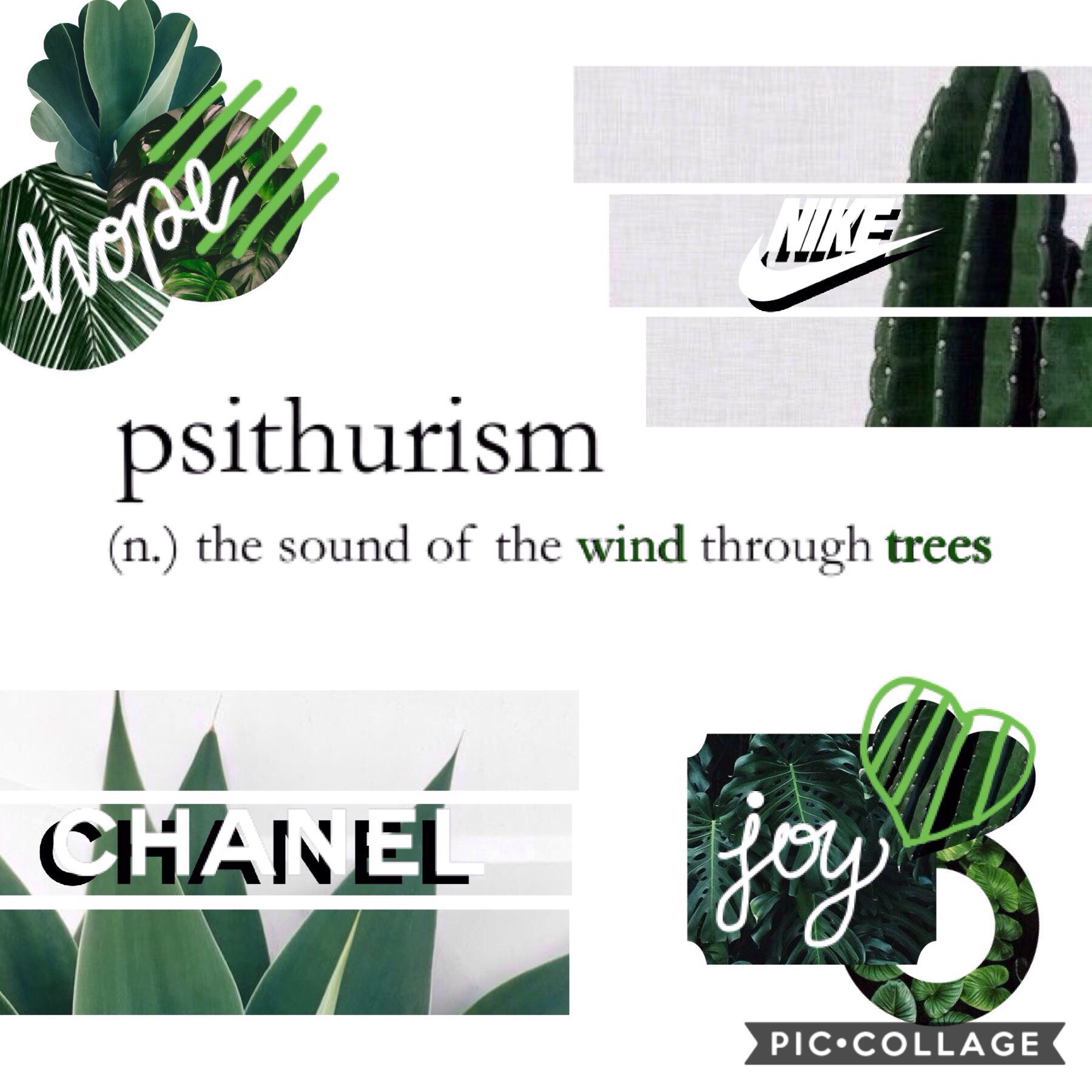 [ psithurism ] ~ 'the sound of the wind through trees'
🌲🌬🌳🌵 [ 17/08 ]
2nd collage of this new theme and I already feel refReShEd✨😇
even though assessments are filling my mind, I'm making room for you guys!🤗 I hope you week is going well and byeee! tyys!
m